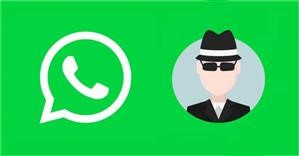 Whatsapp Spy Detector